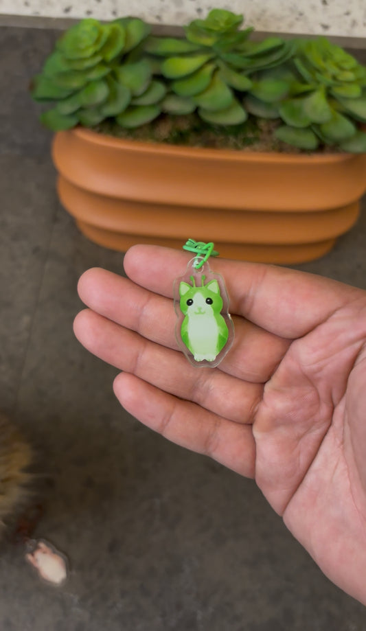 Meowl keychains