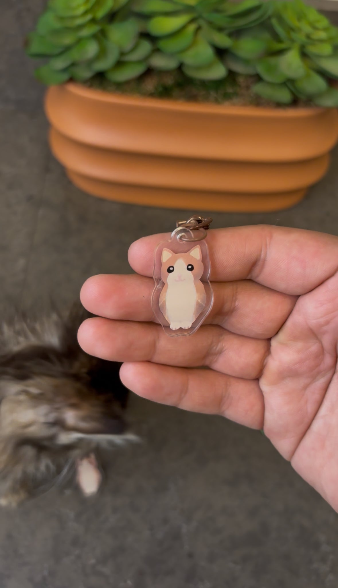 Meowl keychains