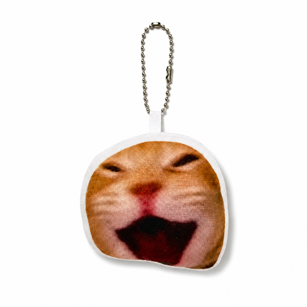 Laughing cat charm