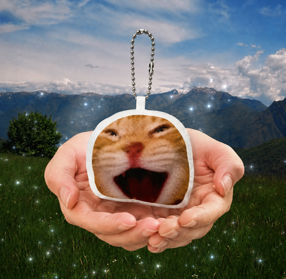 Laughing cat charm