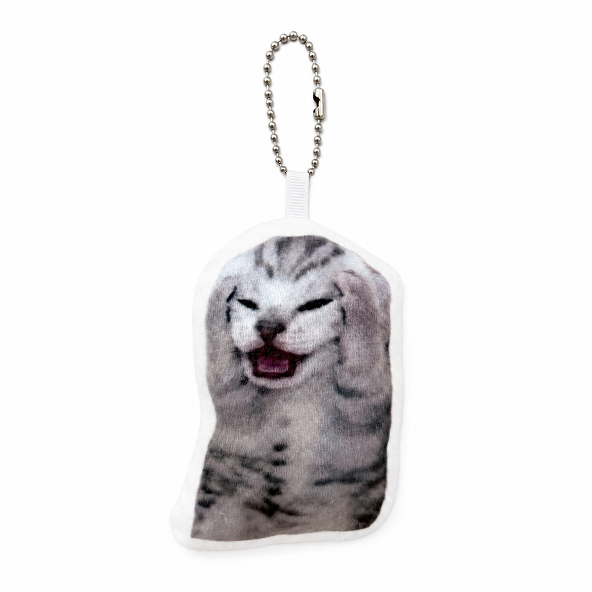 Crying cat