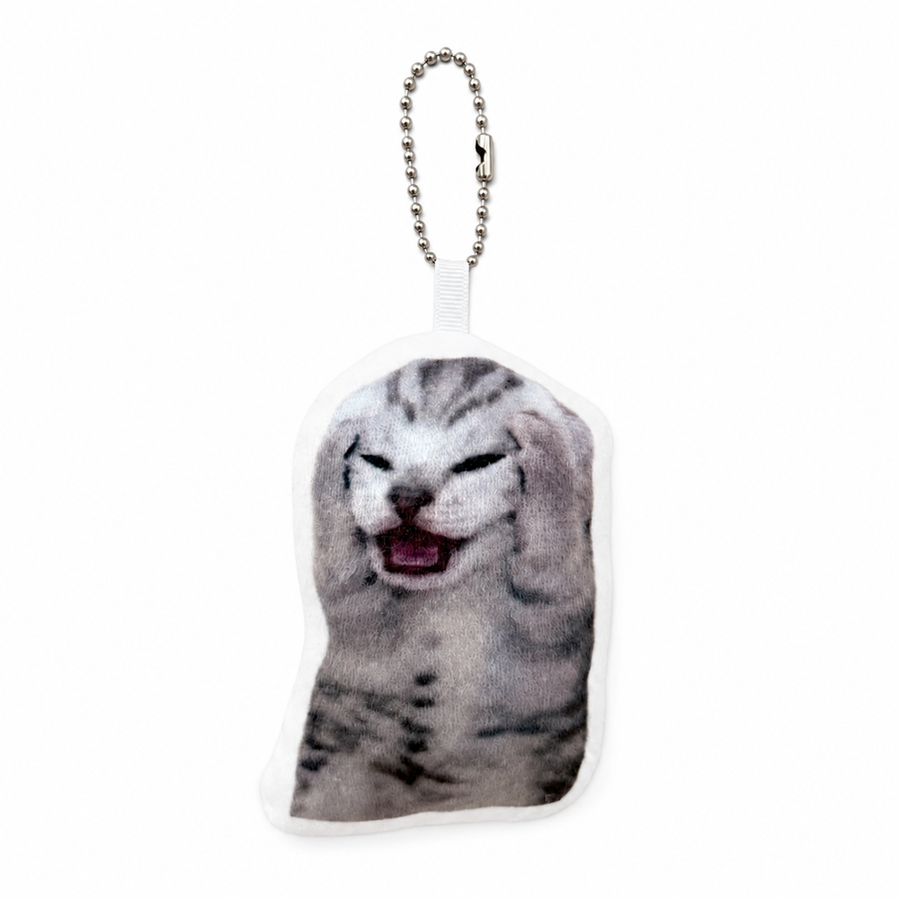 Crying cat