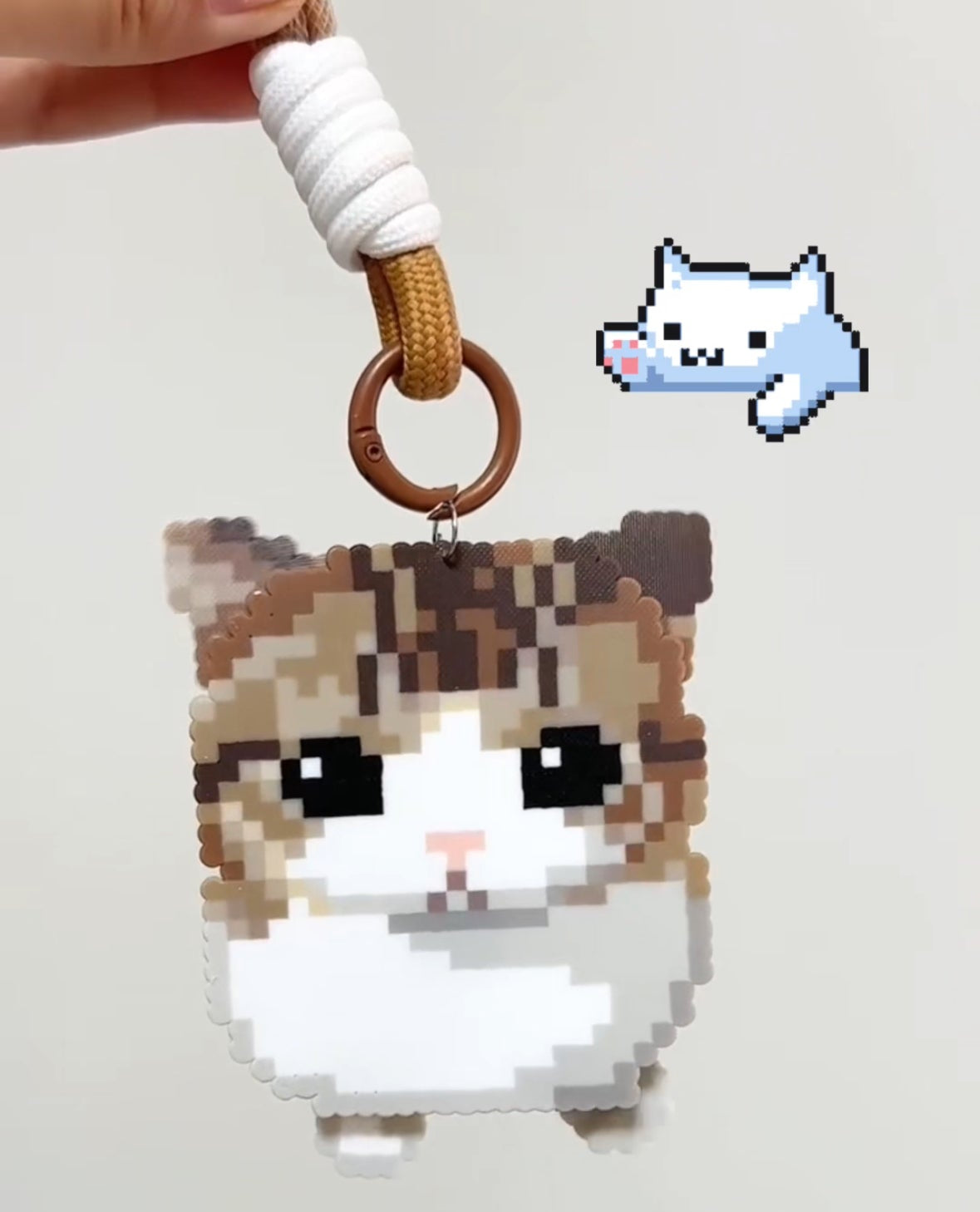 cat meme dance charm