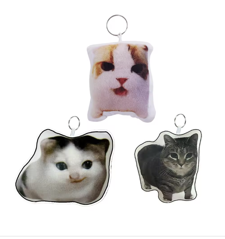 Cat Voice meme  Keychain