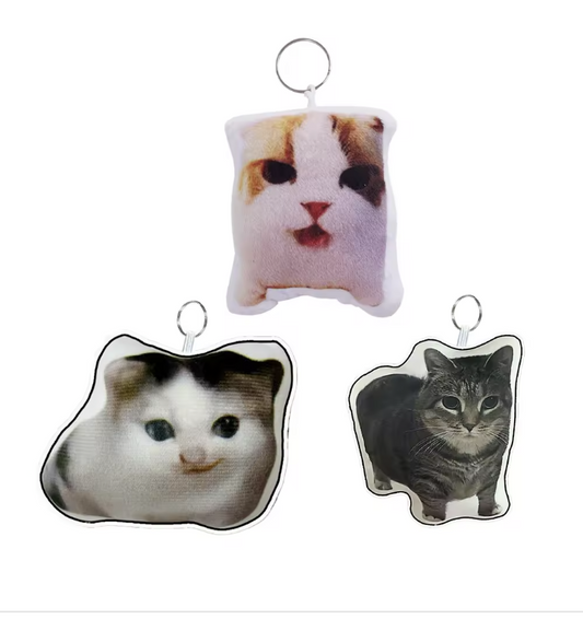 Cat Voice meme  Keychain