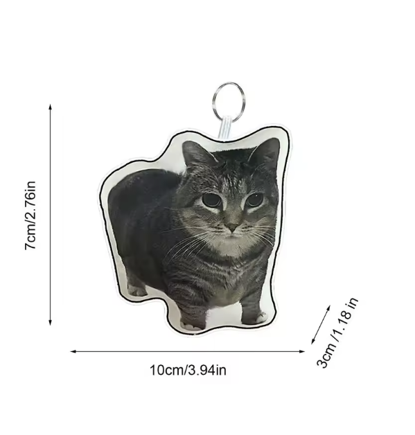 Cat Voice meme  Keychain